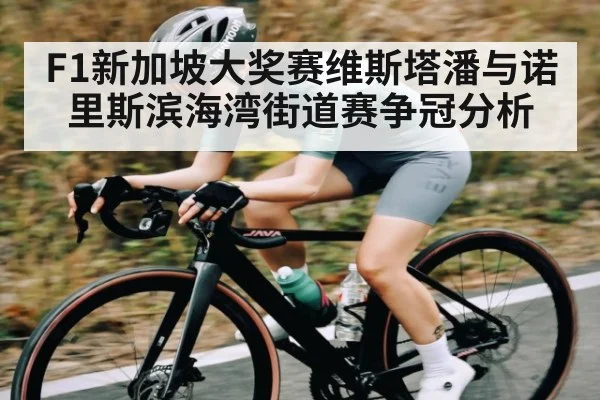 F1新加坡大奖赛维斯塔潘与诺里斯滨海湾街道赛争冠分析 | kaiyun