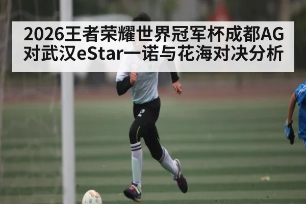 2026王者荣耀世界冠军杯成都AG对武汉eStar一诺与花海对决分析
